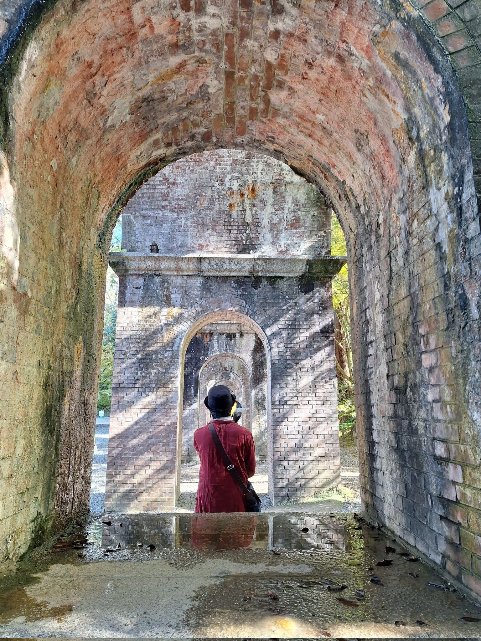 宵埜 白猫